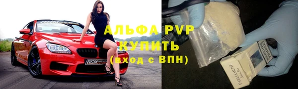 ECSTASY Алзамай