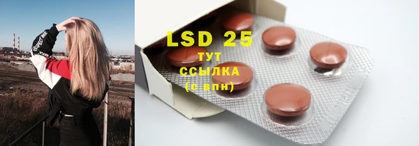 ECSTASY Алзамай