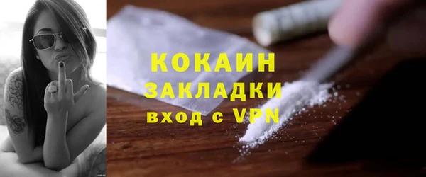 ECSTASY Алзамай