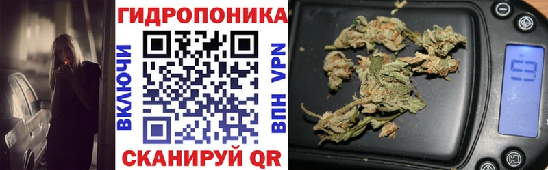 Купить закладки  Спасск  Конопля план 